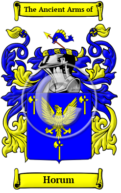 Horum Family Crest/Coat of Arms