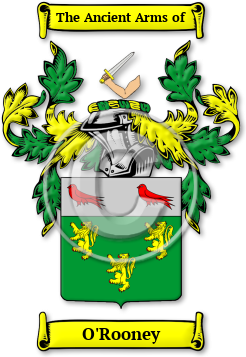 O'Rooney Family Crest Download (jpg) Legacy Series - 150 DPI