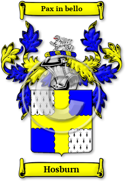 Hosburn Family Crest Download (jpg) Legacy Series - 150 DPI