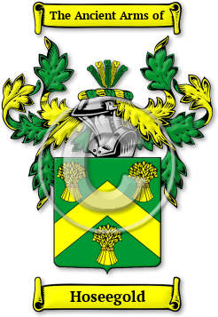 Hoseegold Family Crest Download (jpg) Legacy Series - 150 DPI