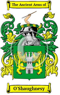 O'Shaughnesy Family Crest Download (JPG) Heritage Series - 600 DPI