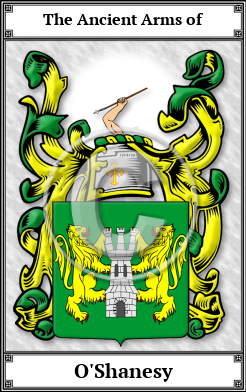 O'Shanesy Family Crest Download (JPG) Book Plated - 600 DPI