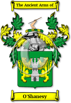 O'Shanesy Family Crest Download (JPG) Legacy Series - 600 DPI