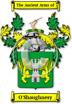 O'Shaughnesy Family Crest Download (jpg) Legacy Series - 150 DPI