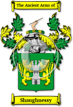 Shaughnessy Family Crest Download (jpg) Legacy Series - 150 DPI