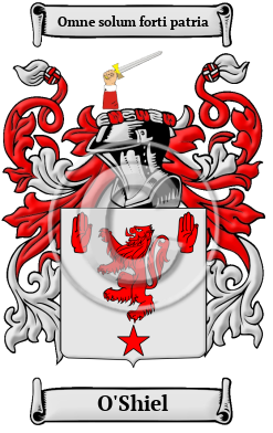 Sullivan Name Meaning, Family History, Family Crest & Coats of Arms
