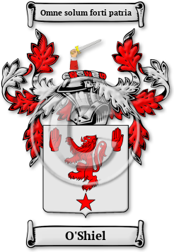 O'Shiel Family Crest Download (jpg) Legacy Series - 150 DPI