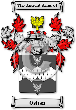 Oshan Family Crest Download (jpg) Legacy Series - 150 DPI