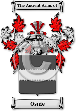 Osnie Family Crest Download (jpg) Legacy Series - 150 DPI