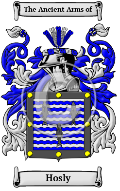 Hosly Family Crest/Coat of Arms