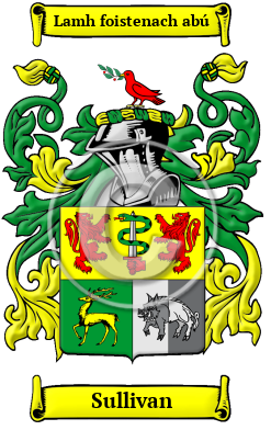 Sullivan Name Meaning, Family History, Family Crest & Coats of Arms