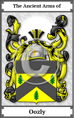 Oozly Family Crest Download (JPG) Book Plated - 600 DPI