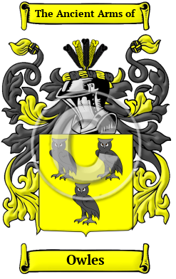 Owles Family Crest Download (JPG) Heritage Series - 600 DPI