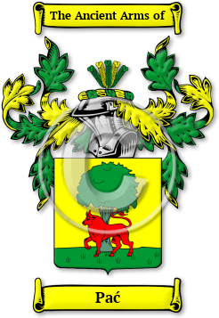 Pać Family Crest Download (jpg) Legacy Series - 150 DPI