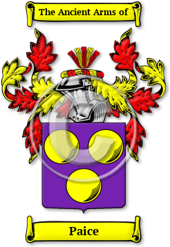 Paice Family Crest Download (JPG) Legacy Series - 600 DPI