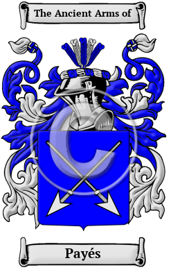 Payés Family Crest Download (JPG) Heritage Series - 300 DPI