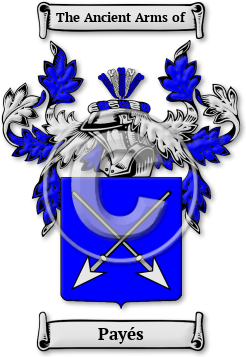 Payés Family Crest Download (jpg) Legacy Series - 150 DPI