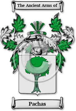 Pachas Family Crest Download (JPG) Legacy Series - 600 DPI