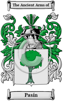 Pasín Family Crest/Coat of Arms