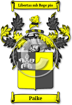 Paike Family Crest Download (jpg) Legacy Series - 150 DPI