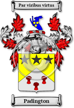 Padington Family Crest Download (jpg) Legacy Series - 150 DPI