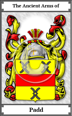 Padd Family Crest Download (JPG) Book Plated - 600 DPI