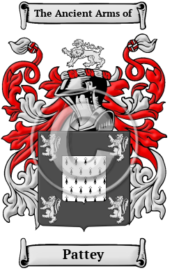 Pattey Family Crest/Coat of Arms