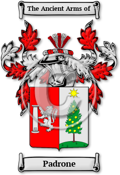 Padrone Family Crest Download (JPG) Legacy Series - 600 DPI