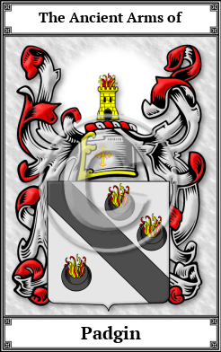 Padgin Family Crest Download (JPG)  Book Plated - 150 DPI