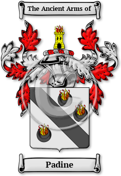 Padine Family Crest Download (jpg) Legacy Series - 150 DPI