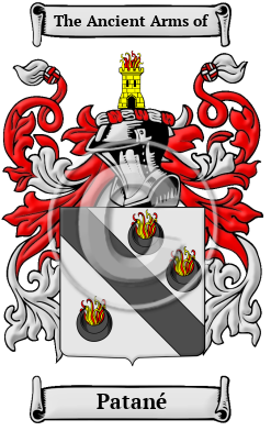 Patané Family Crest/Coat of Arms