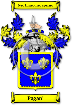 Pagan' Family Crest Download (jpg) Legacy Series - 150 DPI