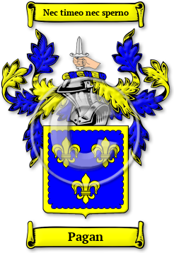 Pagan Family Crest Download (jpg) Legacy Series - 150 DPI