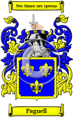 Pagnell Family Crest Download (JPG) Heritage Series - 600 DPI