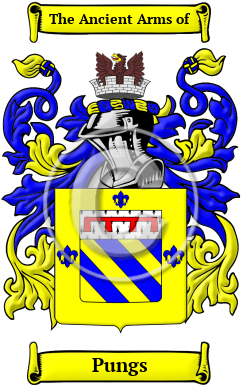 Pungs Family Crest Download (JPG) Heritage Series - 600 DPI