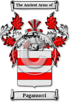 Paganucci Family Crest Download (jpg) Legacy Series - 150 DPI