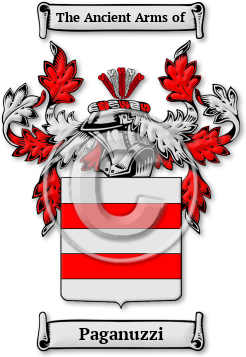 Paganuzzi Family Crest Download (JPG) Legacy Series - 600 DPI
