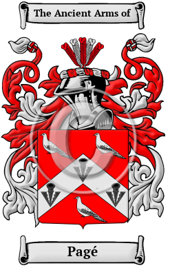 Pagé Family Crest/Coat of Arms