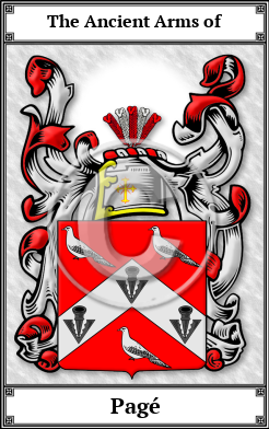 Pagé Family Crest Download (JPG)  Book Plated - 150 DPI