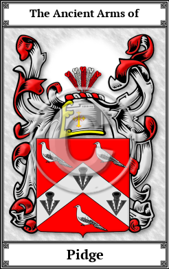 Pidge Family Crest Download (JPG)  Book Plated - 150 DPI