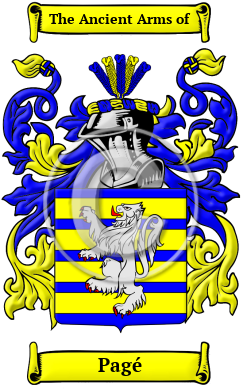 Pagé Family Crest Download (JPG) Heritage Series - 300 DPI