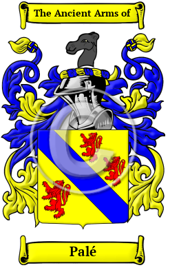 Palé Family Crest Download (JPG) Heritage Series - 300 DPI