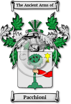 Pacchioni Family Crest Download (JPG) Legacy Series - 600 DPI