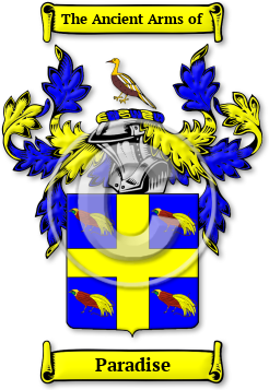 Paradise Family Crest Download (jpg) Legacy Series - 150 DPI