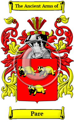 Pare Family Crest Download (JPG) Heritage Series - 600 DPI