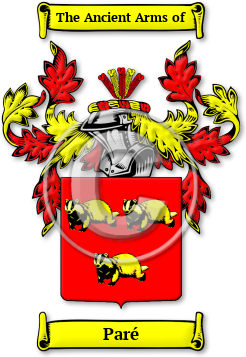 Paré Family Crest Download (JPG) Legacy Series - 600 DPI