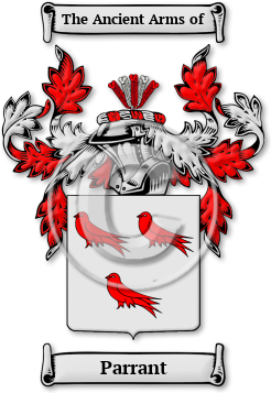 Parrant Family Crest Download (jpg) Legacy Series - 150 DPI