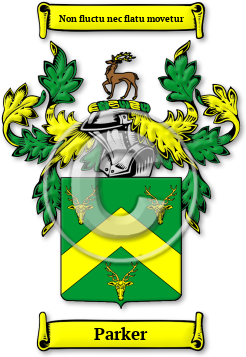 Parker Family Crest Download (JPG) Legacy Series - 600 DPI