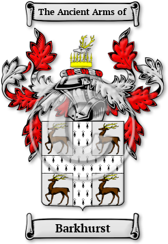 Barkhurst Family Crest Download (JPG) Legacy Series - 600 DPI