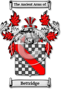 Bettridge Family Crest Download (jpg) Legacy Series - 150 DPI